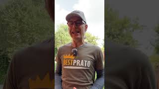 Prato Allombra? Ecco La Soluzione Perfetta Per Riseminare E Rinforzare Le Zone Sofferenti