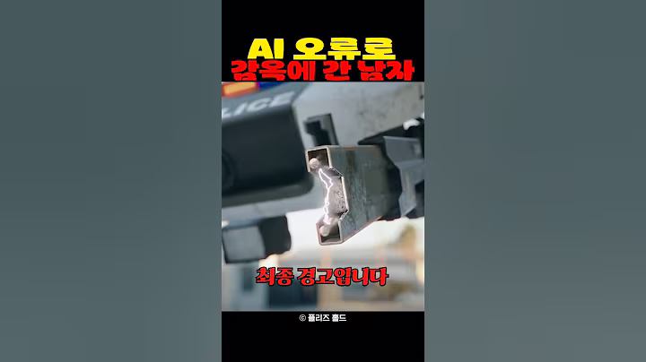 AI오류로 감옥에 간 남자