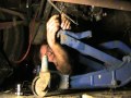 Dinosaur repair video 5