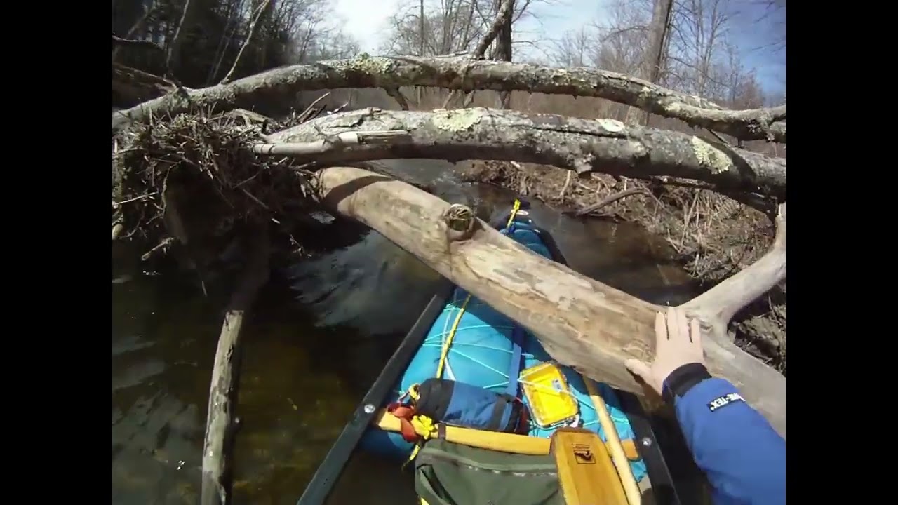Flatbrook Trip - Gut Squeezing Under A Blowdown
