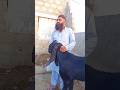 کراچی اجتما ع۲۵/۱/۲۰۲۴#shortvideo #smallbusinessadvice #short