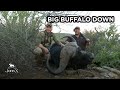 Big Buffalo Down | Vita Dart Experience | John X Safaris