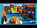 Funny beagle dogs having a pool and bounce house party  louie the beagle