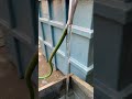 Lead pipe quilling polypropylene tank.
