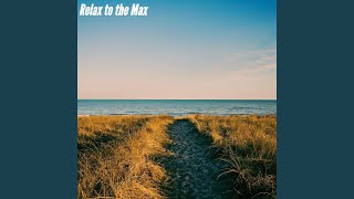 Distinguished Ambience for Calming Selects