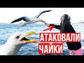 Запрыгнула в ЕДУЩИЙ трамвай! 5 образов на 5 локаций! Lookbook 🐞 Afinka