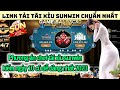 Sunwin | Link tải sunwin chuẩn 2023 | Phương án chơi tài xỉu kiếm ngày 10 củ trên sunwin