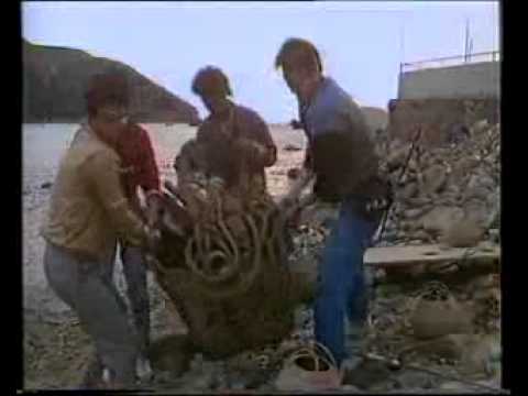 TVB Jade Ident 無綫電視翡翠台台徽  1985 logo 8  翡翠台台徽 離島