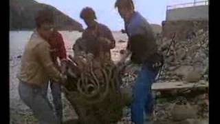 Download Lagu TVB Jade Ident 無綫電視翡翠台台徽  1985 logo 8  翡翠台台徽 離島 MP3