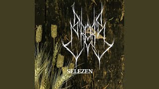 SELEZEN screenshot 5