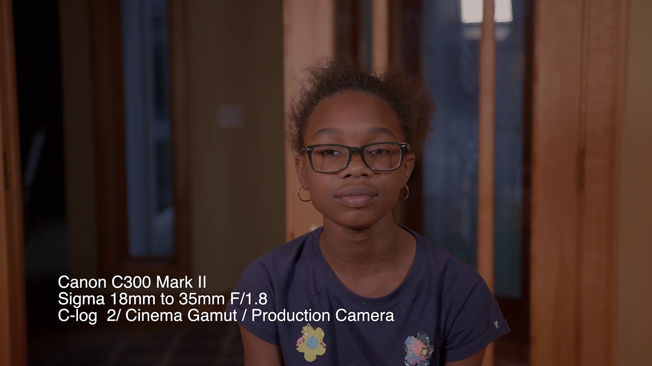 Canon C300 Mark II - Lens Test