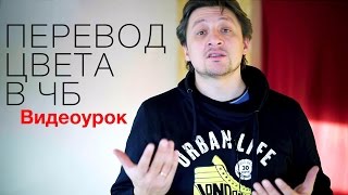 Перевод цвета в чб. Видео урок по фотографии 65