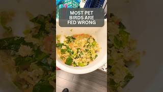 What a Healthy Bird Diet Actually Looks Like - What is in chop for birds