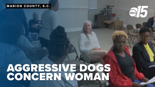 Aggressive dogs in Marion Co. neighborhood leaves woman concerned