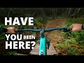 Enjoying local mtb trails