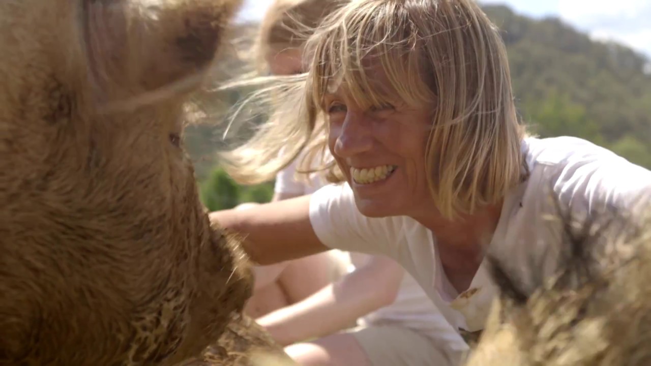 Animal Justice Party NSW - Animal Heroes - Debbie Pearce 'Where Pigs fly' and Mark Pearson MLC