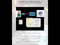 How Machines Understand Language: A Hands-On Overview of Text Embeddings