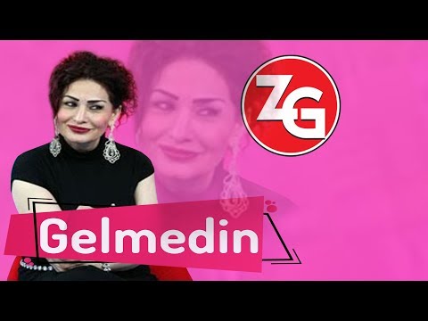 Zahide Gunes - Gelmedin (Official Audio)