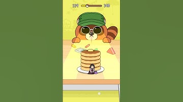 HIDE AND SEEK:😻 CAT ESCAPE 🥳 RACOON