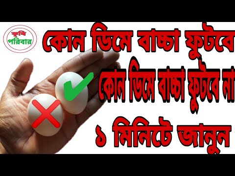 ভিডিও: বন্য শিশুর ইঁদুর বাঁচানোর টি উপায়