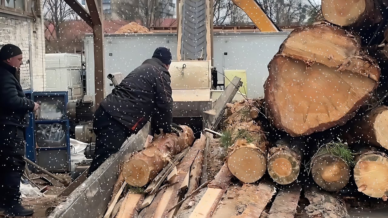 WINTER RISK — Giant Logs in the Shredder Zone.