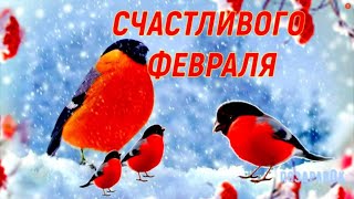 Счастливого Февраля! Красивое Пожелание Друзьям И Родным С Началом Февраля!