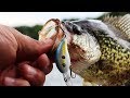 This MICRO Crankbait is AWESOME for Crappie | TINY Lure CHALLENGE