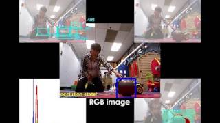 Tracking Revisited using RGBD Camera: Unified Benchmark and Baselines screenshot 3