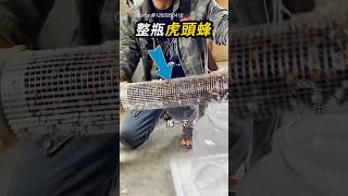 不產蜂蜜的結果🐝