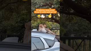 rest time Bandar #funny #comedy #trending #shorts