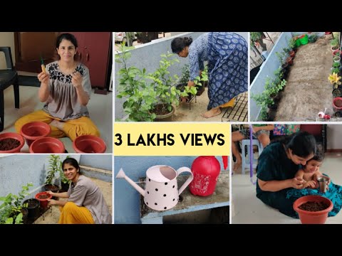 சூப்பரா மாறிய மாடித் தோட்டம்? Extreme Garden Makeover | Terrace Gardening Tips | Garden Materials