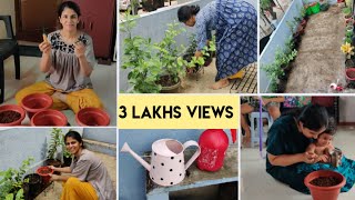 சூப்பரா மாறிய மாடித் தோட்டம் Extreme Garden makeover | Terrace gardening tips | Garden materials