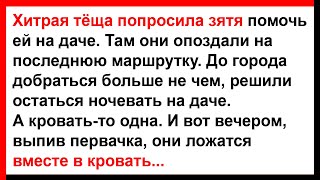 Хитрая тёща и зять оказались в одной кровати... Анекдоты! Юмор! Позитив!