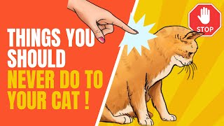 19 Things You Should Never Do To Your Cat