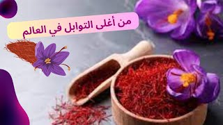 أحد أغلى التوابل في العالم | الزعفران