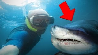 Top 10 Pessoas que Morreram Por Causa de uma Selfie