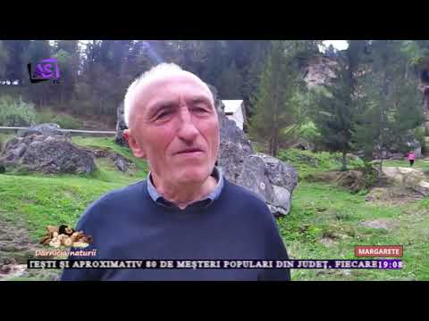 Dărnicia Naturii • Margarete Dărnicia Naturii • Margarete