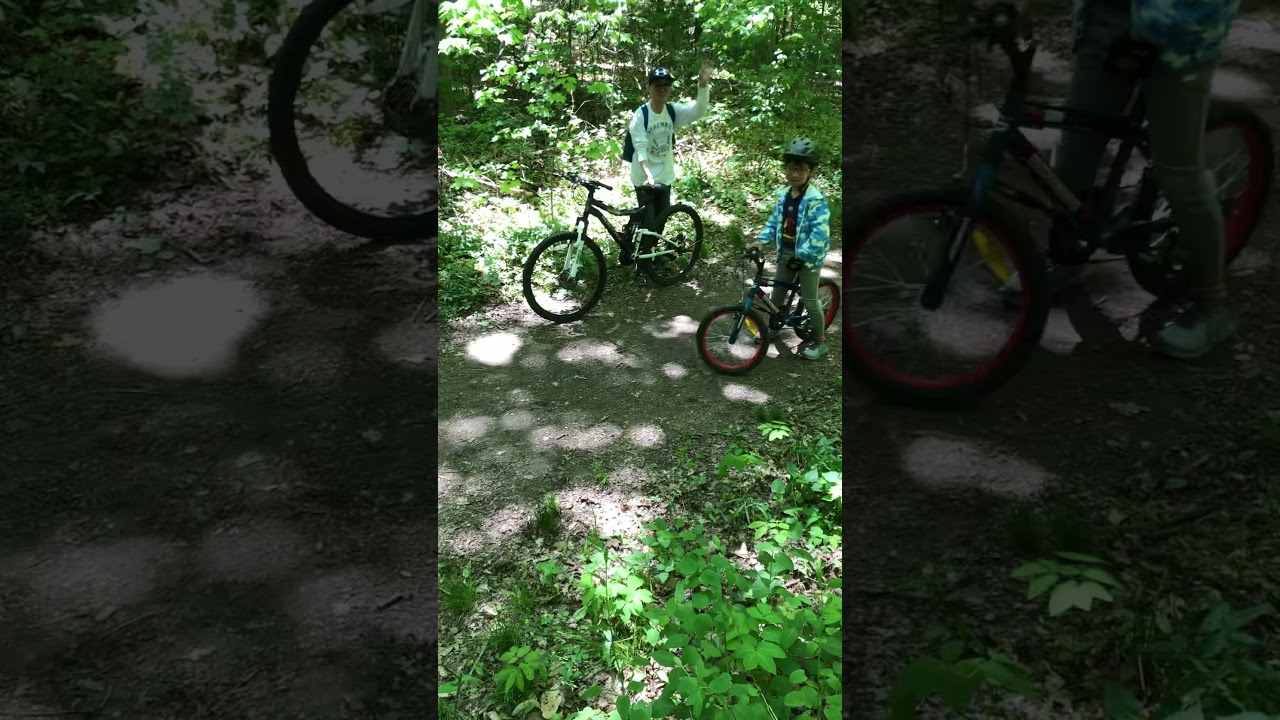 V-Day Hollidge Tract trial bike