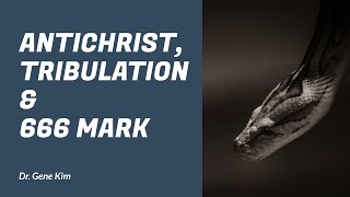 DISP 17: Antichrist, Tribulation & 666 Mark