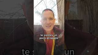 ¡Evento especial! iniciación de Buda Vajrasatva #budismomoderno #podcast #meditacionbudista