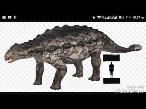 ankylosaurus size related keywords