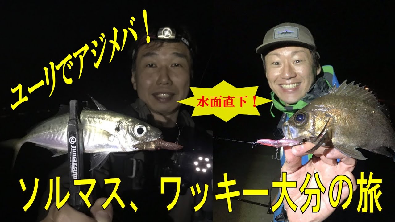 熊本 メバル ポイント 熊本 メバル ポイント Jozirasutowltq