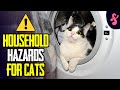 ⚠️Household Hazards For Cats | Furry Feline Facts ☢️