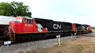 Train Hits Plant City Diamond