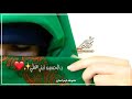 لطمية يا حبيبي يا علي نبض قلب ياعلي لطمية يا حبيبي يا علي نبض قلب ياعلي