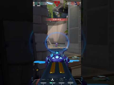 Vandal ACE #valorant #valorantclips