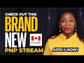 Brand New 2022 PNP stream in New Brunswick.