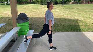 Drop RFE Split Squat