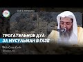 Шейх Солих Синди не сдержал слез, делая ду&#39;а за мусульман Палестины