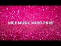 NICE MUSIC MUST PURE 27th aniv